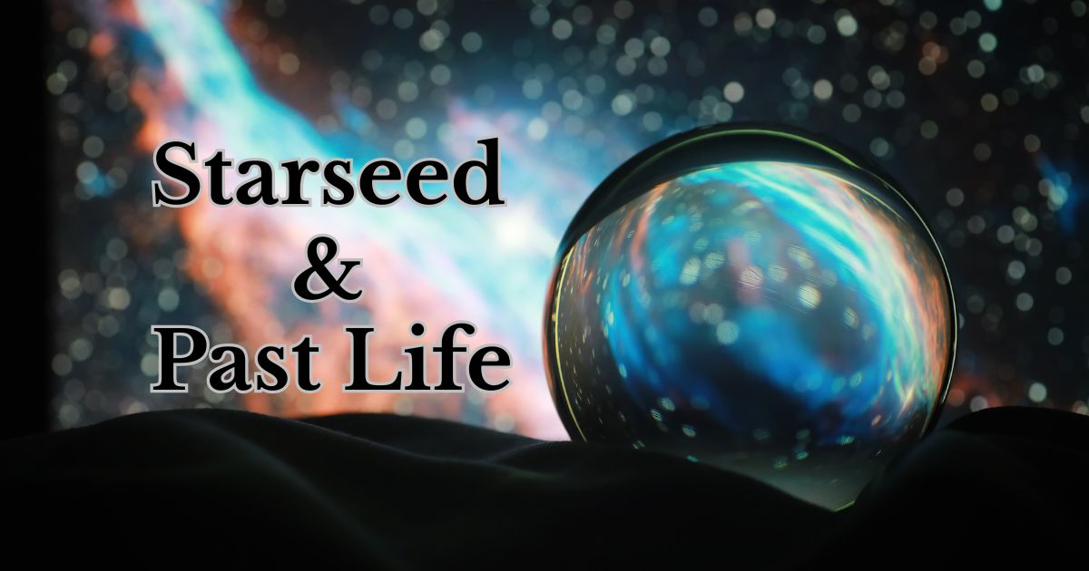 Starseed business image in Dallas, Texas